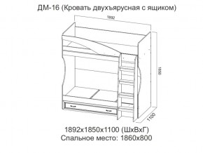 ДМ-16 Кровать двухъярусная с ящиком в Лысьве - lysva.magazin-mebel74.ru | фото